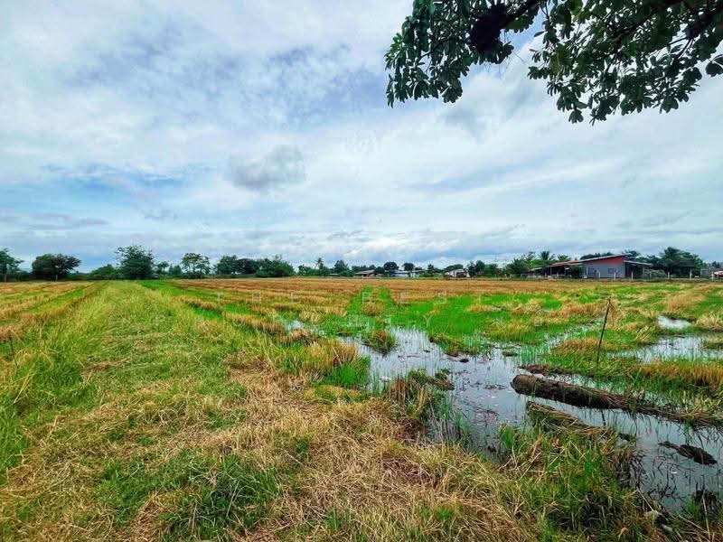 ที่ดินท่ามะกา กาญจนบุรี, กาญจนบุรี, ตะคร้ำเอน, ท่ามะกา, กาญจนบุรี, 9,768 ตร.ม., ที่ดิน ขาย, โดย The Best Property แอ้, 500474979 - DDproperty.com