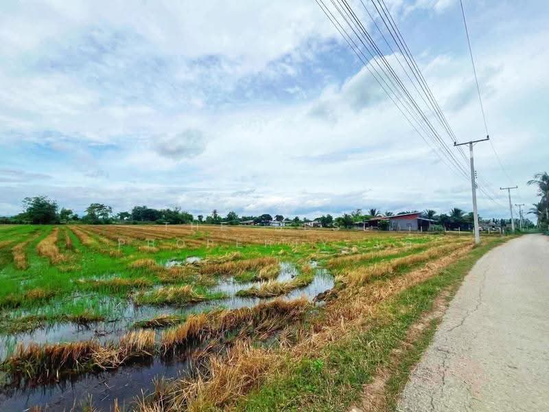 ที่ดินท่ามะกา กาญจนบุรี, กาญจนบุรี, ตะคร้ำเอน, ท่ามะกา, กาญจนบุรี, 9,768 ตร.ม., ที่ดิน ขาย, โดย The Best Property แอ้, 500474979 - DDproperty.com