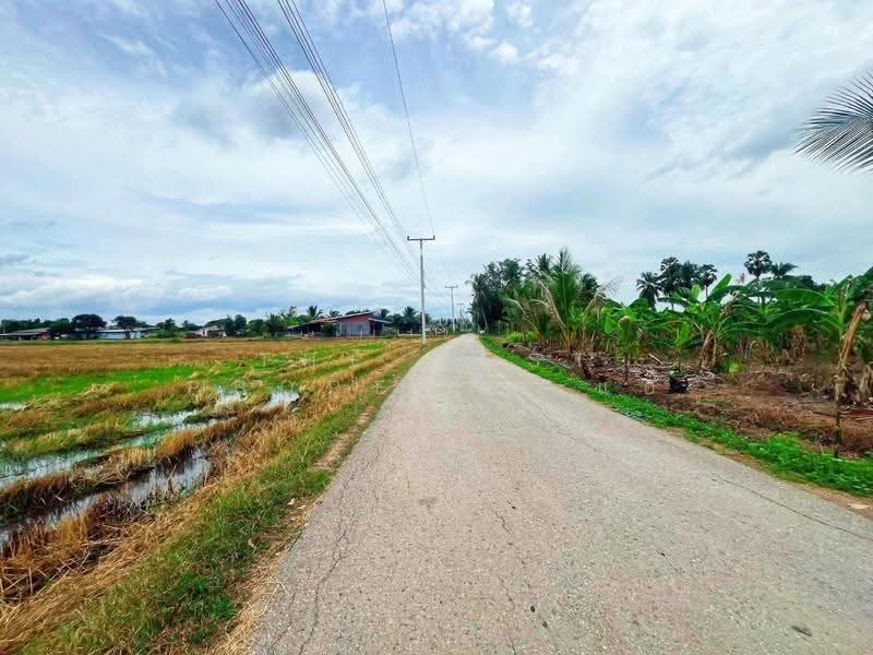 ที่ดินท่ามะกา กาญจนบุรี, กาญจนบุรี, ตะคร้ำเอน, ท่ามะกา, กาญจนบุรี, 9,768 ตร.ม., ที่ดิน ขาย, โดย The Best Property แอ้, 500474979 - DDproperty.com