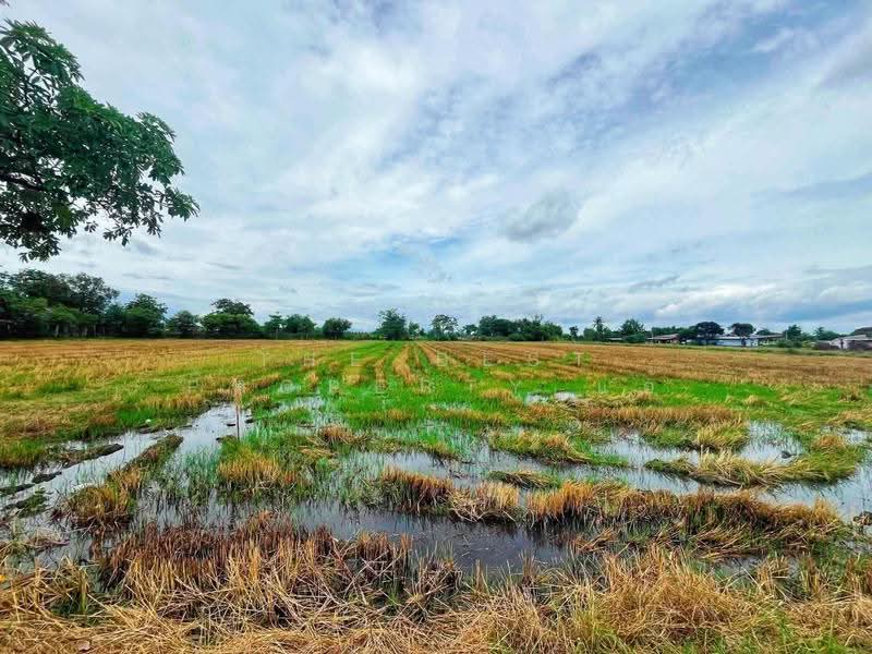 ที่ดินท่ามะกา กาญจนบุรี, กาญจนบุรี, ตะคร้ำเอน, ท่ามะกา, กาญจนบุรี, 9,768 ตร.ม., ที่ดิน ขาย, โดย The Best Property แอ้, 500474979 - DDproperty.com