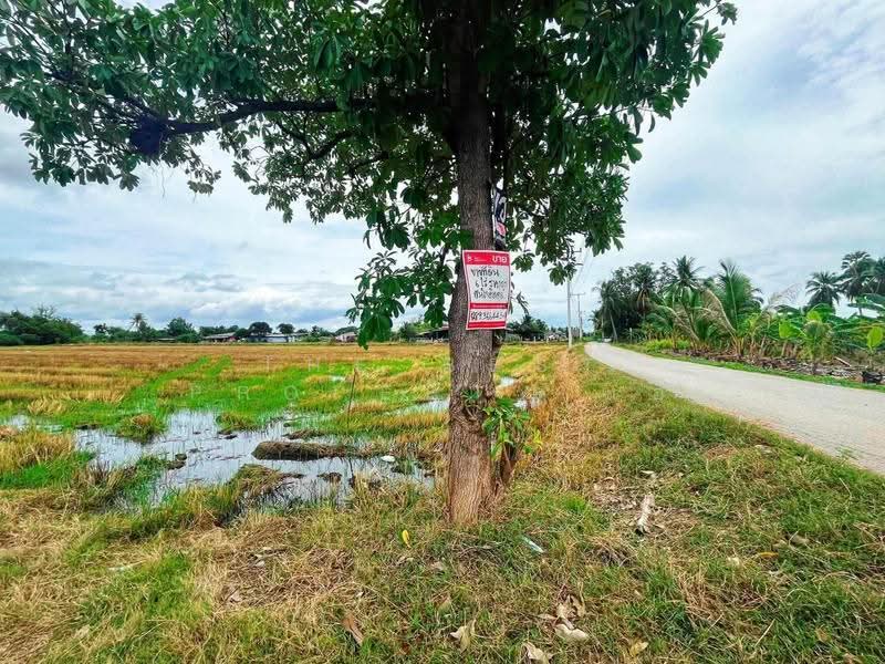 ที่ดินท่ามะกา กาญจนบุรี, กาญจนบุรี, ตะคร้ำเอน, ท่ามะกา, กาญจนบุรี, 9,768 ตร.ม., ที่ดิน ขาย, โดย The Best Property แอ้, 500474979 - DDproperty.com