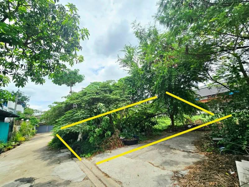 ที่ดิน บางบอน5 สายเดิม หนองแขม, กรุงเทพ, บางบอน5 สายเดิม, หนองแขม, กรุงเทพ, 308 ตร.ม., ที่ดิน ขาย, โดย Thanawat K., 500474987 - DDproperty.com