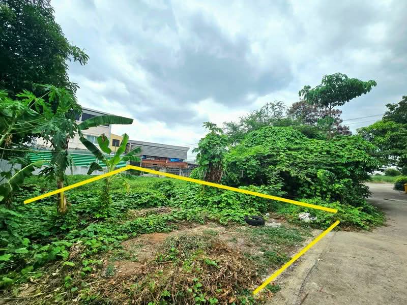 ที่ดิน บางบอน5 สายเดิม หนองแขม, กรุงเทพ, บางบอน5 สายเดิม, หนองแขม, กรุงเทพ, 308 ตร.ม., ที่ดิน ขาย, โดย Thanawat K., 500474987 - DDproperty.com