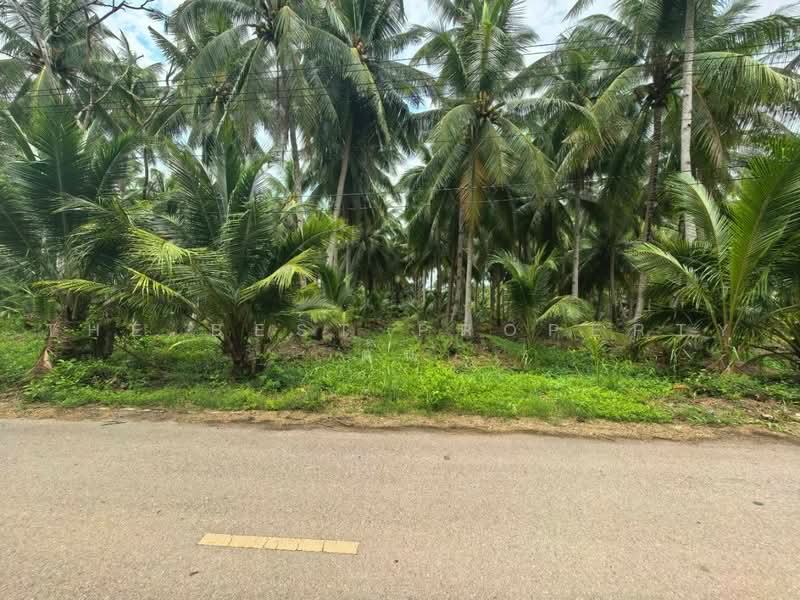 ที่ดินอัมพวา สมุทรสงคราม, Samut Songkhram, Plai Phongphang, Amphawa, Samut Songkhram, , 1,744 sqm, Land For Sale, by The Best Property ต้น, 500475030 - DDproperty.com