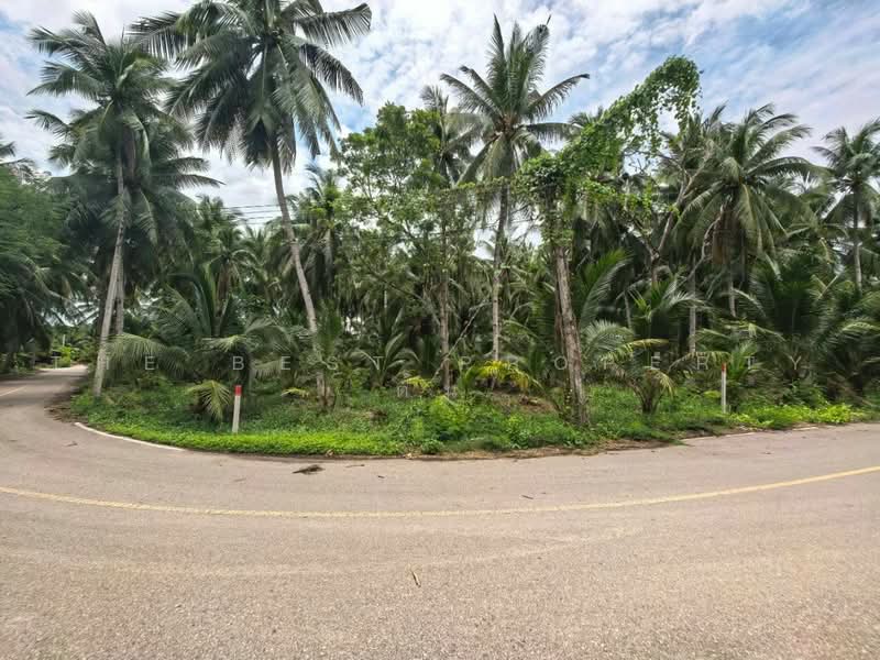 ที่ดินอัมพวา สมุทรสงคราม, Samut Songkhram, Plai Phongphang, Amphawa, Samut Songkhram, , 1,744 sqm, Land For Sale, by The Best Property ต้น, 500475030 - DDproperty.com
