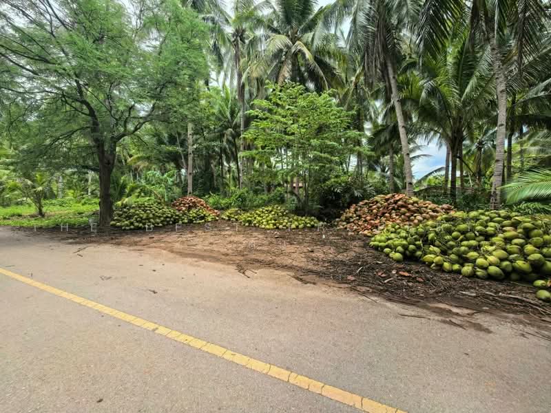 ที่ดินอัมพวา สมุทรสงคราม, Samut Songkhram, Plai Phongphang, Amphawa, Samut Songkhram, , 1,744 sqm, Land For Sale, by The Best Property ต้น, 500475030 - DDproperty.com