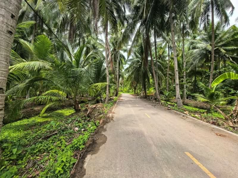 ที่ดินอัมพวา สมุทรสงคราม, Samut Songkhram, Plai Phongphang, Amphawa, Samut Songkhram, , 1,744 sqm, Land For Sale, by The Best Property ต้น, 500475030 - DDproperty.com
