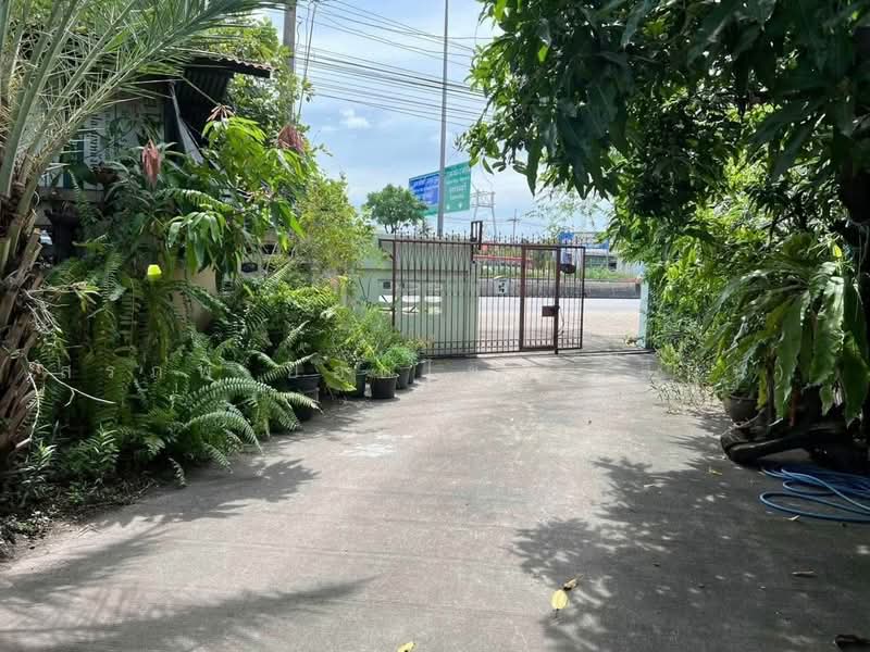 ที่ดินเปล่า เนื้อที่ 258 ตารางวา ทำเลดี ใกล้ Central Westgate, Nonthaburi, Sao Thong Hin, Bang Yai, Nonthaburi, , 1,032 sqm, Land For Sale, by สรภพ ยอดไชย (สีฝุ่น), 500475049 - DDproperty.com