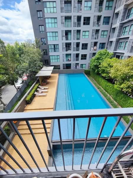 Aspen Condo Lasalle, Bangkok, Soi Sukhumvit 105 (Lasalle), Bang Na, Bang Na, Bangkok, 1 Bedroom, 36 sqm, Condo For Rent, by Nattayaporn Peumkul (Benz), 500475069 - DDproperty.com