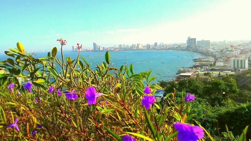 ขายโรงแรมพัทยา ทำเลสวย ใกล้ห้างเซ็ลทรัลพัทยา, Chon Buri (Pattaya), Bang Lamung, Bang Lamung (Pattaya), Chon Buri (Pattaya), , 15,000 sqm, Business For Sale, by Forty-Six Real Estate Group, 500475080 - DDproperty.com