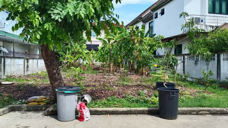 ธนบดี บางบอน, Bangkok, Bang Bon, Bangkok, , 336 sqm, Land For Sale, by The Best Property ณัฐ, 500475117 - DDproperty.com