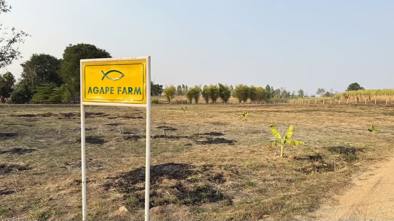5.75 Rai Land Mae Sot, Tak House & Pond – 1.85M THB, Tak, Mae Kasa, Mae Sod, Tak, , 9,220 sqm, Land For Sale, by วีรภัทรา ดาร์เปอร์, 500475167 - DDproperty.com