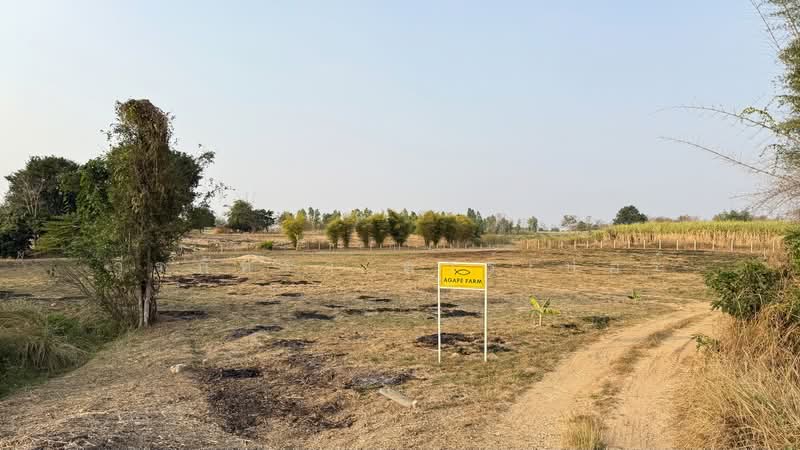 5.75 Rai Land Mae Sot, Tak House & Pond – 1.85M THB, Tak, Mae Kasa, Mae Sod, Tak, , 9,220 sqm, Land For Sale, by วีรภัทรา ดาร์เปอร์, 500475167 - DDproperty.com