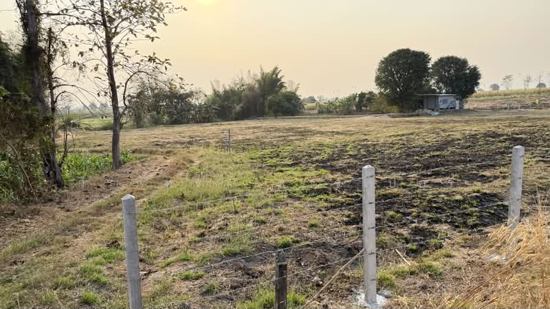 5.75 Rai Land Mae Sot, Tak House & Pond – 1.85M THB, Tak, Mae Kasa, Mae Sod, Tak, , 9,220 sqm, Land For Sale, by วีรภัทรา ดาร์เปอร์, 500475167 - DDproperty.com