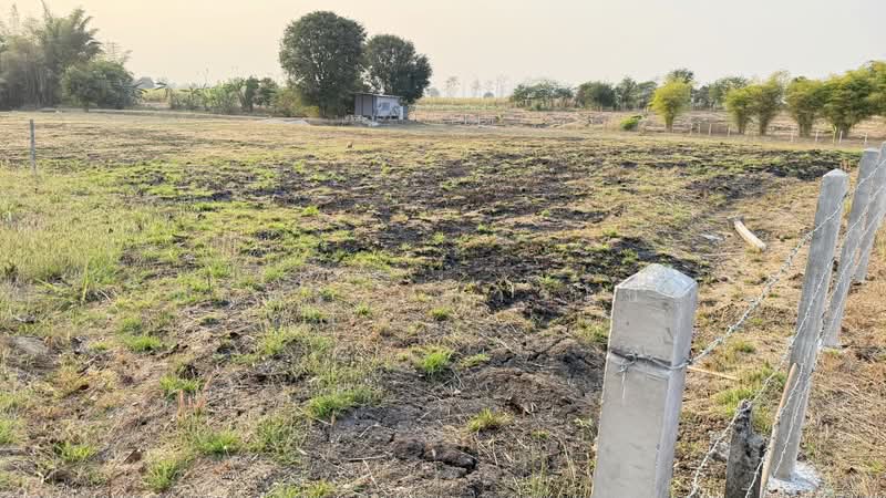 5.75 Rai Land Mae Sot, Tak House & Pond – 1.85M THB, Tak, Mae Kasa, Mae Sod, Tak, , 9,220 sqm, Land For Sale, by วีรภัทรา ดาร์เปอร์, 500475167 - DDproperty.com
