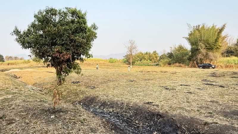 5.75 Rai Land Mae Sot, Tak House & Pond – 1.85M THB, Tak, Mae Kasa, Mae Sod, Tak, , 9,220 sqm, Land For Sale, by วีรภัทรา ดาร์เปอร์, 500475167 - DDproperty.com