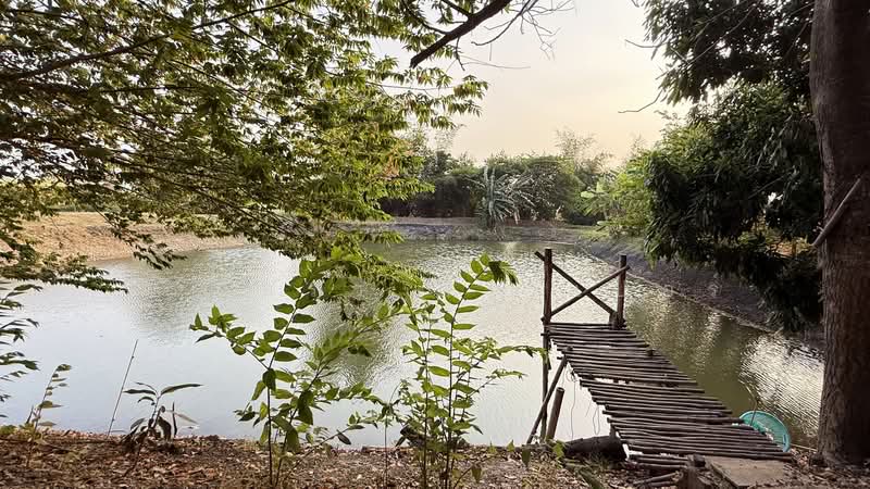 5.75 Rai Land Mae Sot, Tak House & Pond – 1.85M THB, Tak, Mae Kasa, Mae Sod, Tak, , 9,220 sqm, Land For Sale, by วีรภัทรา ดาร์เปอร์, 500475167 - DDproperty.com