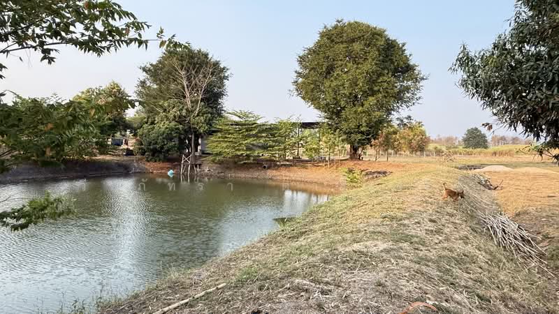 5.75 Rai Land Mae Sot, Tak House & Pond – 1.85M THB, Tak, Mae Kasa, Mae Sod, Tak, , 9,220 sqm, Land For Sale, by วีรภัทรา ดาร์เปอร์, 500475167 - DDproperty.com