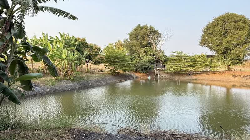 5.75 Rai Land Mae Sot, Tak House & Pond – 1.85M THB, Tak, Mae Kasa, Mae Sod, Tak, , 9,220 sqm, Land For Sale, by วีรภัทรา ดาร์เปอร์, 500475167 - DDproperty.com