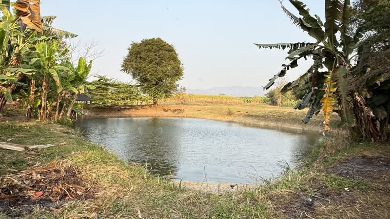 5.75 Rai Land Mae Sot, Tak House & Pond – 1.85M THB, Tak, Mae Kasa, Mae Sod, Tak, , 9,220 sqm, Land For Sale, by วีรภัทรา ดาร์เปอร์, 500475167 - DDproperty.com