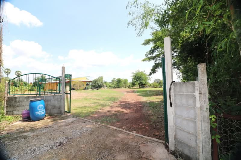 Affordable 5+ Rai Country Home for Sale Nong Han Udon Thani, Udon Thani, Don Hai Sok, Nong Han, Udon Thani, 2 Bedrooms, 90 sqm, Single Detached House For Sale, by วีรภัทรา ดาร์เปอร์, 500475202 - DDproperty.com