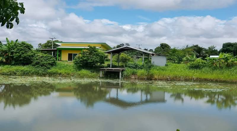 Affordable 5+ Rai Country Home for Sale Nong Han Udon Thani, Udon Thani, Don Hai Sok, Nong Han, Udon Thani, 2 Bedrooms, 90 sqm, Single Detached House For Sale, by วีรภัทรา ดาร์เปอร์, 500475202 - DDproperty.com