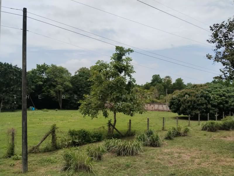 ที่ดินนายายอาม จันทบุรี, Chanthaburi, Sanam-chai, Na Yai Am, Chanthaburi, , 3,200 sqm, Land For Sale, by The Best Property อีฟ, 500475205 - DDproperty.com