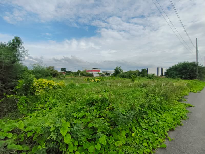 ที่ดินไทรน้อย นนทบุรี, Nonthaburi, Sai Noi, Sai Noi, Nonthaburi, , 1,219 sqm, Land For Sale, by The Best Property ไข่, 500475212 - DDproperty.com