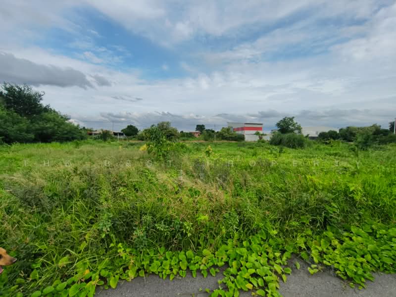 ที่ดินไทรน้อย นนทบุรี, Nonthaburi, Sai Noi, Sai Noi, Nonthaburi, , 1,219 sqm, Land For Sale, by The Best Property ไข่, 500475212 - DDproperty.com