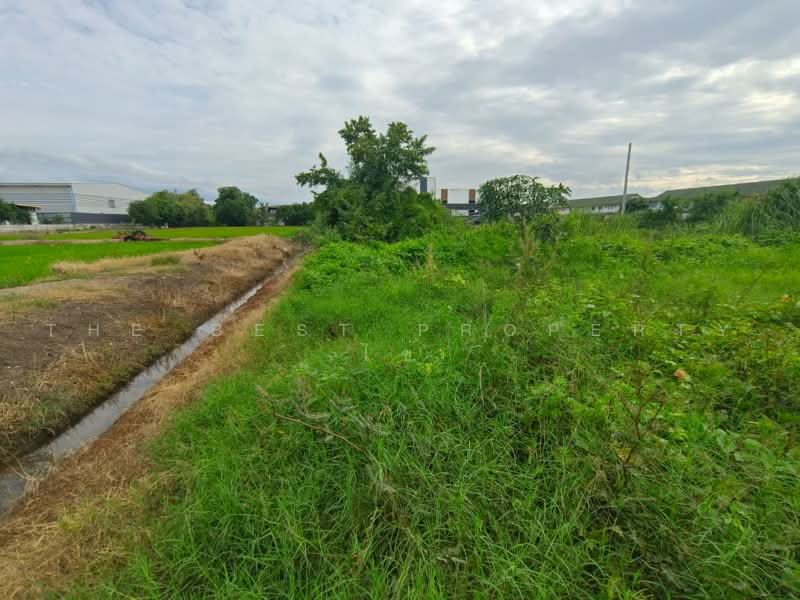ที่ดินไทรน้อย นนทบุรี, Nonthaburi, Sai Noi, Sai Noi, Nonthaburi, , 1,219 sqm, Land For Sale, by The Best Property ไข่, 500475212 - DDproperty.com