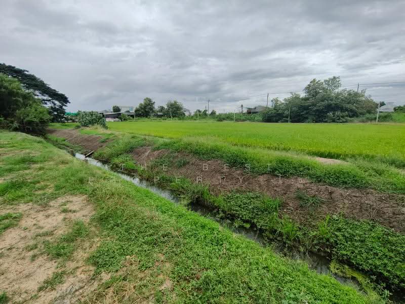 ที่ดินไทรน้อย นนทบุรี, นนทบุรี, ไทรน้อย, นนทบุรี, 1,219 ตร.ม., ที่ดิน ขาย, โดย The Best Property ไข่, 500475212 - DDproperty.com
