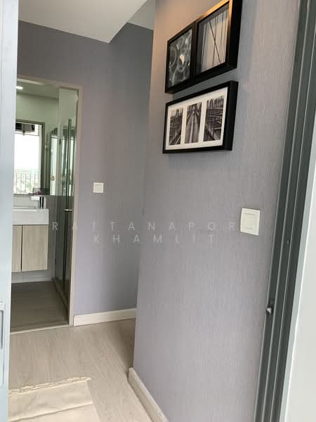 IDEO MOBI Sukhumvit 81 : ไอดีโอ โมบิ สุขุมวิท 81, กรุงเทพ, 2097 ถนนสุขุมวิท แขวงบางจาก เขตพระโขนง กรุงเทพมหานคร, บางจาก, พระโขนง, กรุงเทพ, 23 ตร.ม., คอนโด ให้เช่า, โดย Rattanaporn Khamlit, 500475214 - DDproperty.com