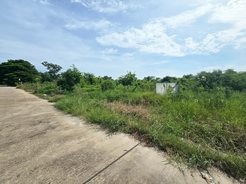 พนมแลนด์แอนด์เฮ้าส์ ฉะเชิงเทรา, Chachoengsao, Phanom Sarakham, Chachoengsao, , 8,692 sqm, Land For Sale, by The Best Property รุ้ง, 500475223 - DDproperty.com