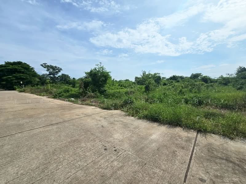 พนมแลนด์แอนด์เฮ้าส์ ฉะเชิงเทรา, Chachoengsao, Phanom Sarakham, Chachoengsao, , 8,692 sqm, Land For Sale, by The Best Property รุ้ง, 500475223 - DDproperty.com