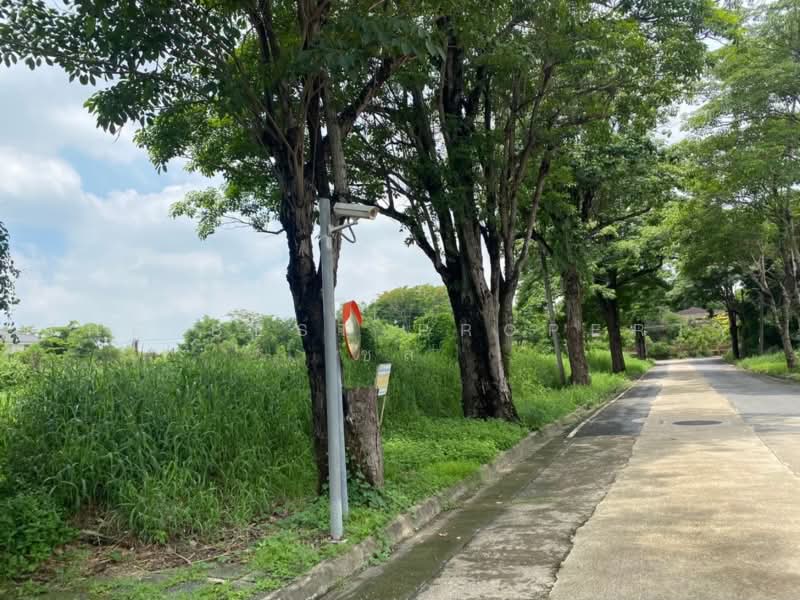 นวธานี เสรีไทย 59, Bangkok, Khan Na Yao, Bangkok, , 1,172 sqm, Land For Sale, by The Best Property ชล, 500475250 - DDproperty.com