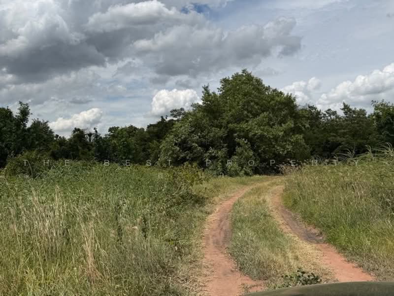 ที่ดินพัฒนานิคม ลพบุรี, Lop Buri, Phatthana Nikhom, Lop Buri, , 400 sqm, Land For Sale, by The Best Property ลาน่า, 500475271 - DDproperty.com