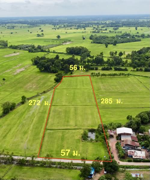 ที่ดิน พิจิตร สากเหล็ก หนองหญ้าไทร 10-1-96 ตร.ว., พิจิตร, 3024, หนองหญ้าไทร, สากเหล็ก, พิจิตร, 16,784 ตร.ม., ที่ดิน ขาย, โดย วสันต์ วะสะติ, 500475278 - DDproperty.com