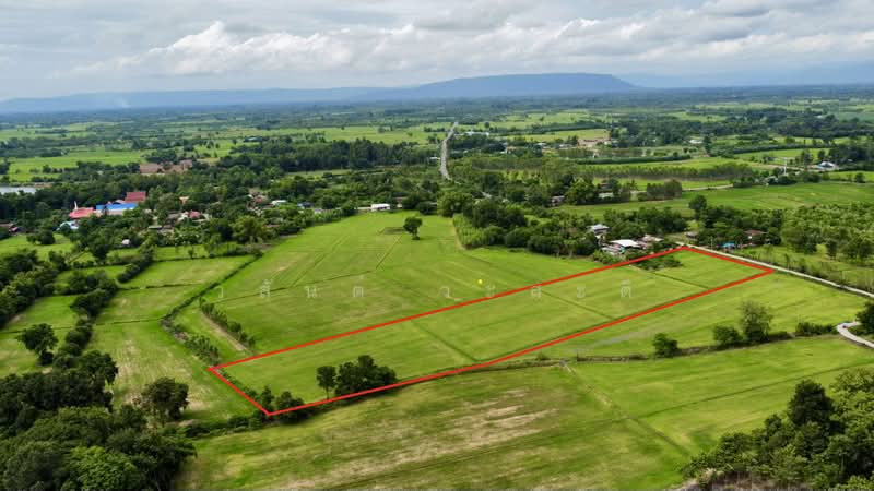 ที่ดิน พิจิตร สากเหล็ก หนองหญ้าไทร 10-1-96 ตร.ว., Phichit, 3024, Nong Ya Sai, Sak Lek, Phichit, , 16,784 sqm, Land For Sale, by Wasan Wasati, 500475278 - DDproperty.com