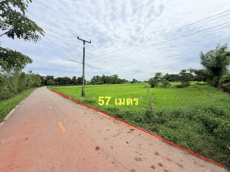 ที่ดิน พิจิตร สากเหล็ก หนองหญ้าไทร 10-1-96 ตร.ว., พิจิตร, 3024, หนองหญ้าไทร, สากเหล็ก, พิจิตร, 16,784 ตร.ม., ที่ดิน ขาย, โดย วสันต์ วะสะติ, 500475278 - DDproperty.com