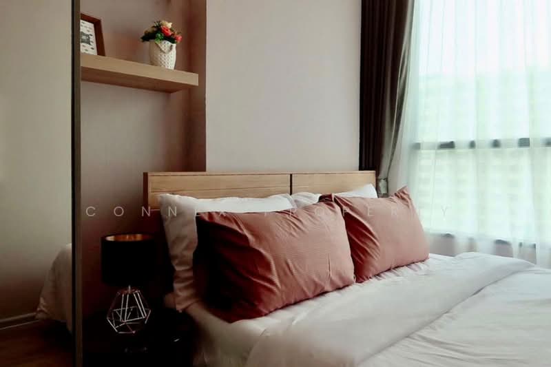 KnightsBridge Collage Ramkhamhaeng : ไนท์บริดจ์คอลลาจ รามคำแหง, กรุงเทพ, ถนนรามคำแหง, หัวหมาก, บางกะปิ, กรุงเทพ, 27 ตร.ม., คอนโด ให้เช่า, โดย Connex Property, 500475286 - DDproperty.com