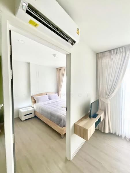 Dolce Lasalle Bang na : โดว์เช่ ลาซาล บางนา, กรุงเทพ, ซอยลาซาล 7, บางนา, กรุงเทพ, 31 ตร.ม., คอนโด ให้เช่า, โดย Connex Property, 500475371 - DDproperty.com