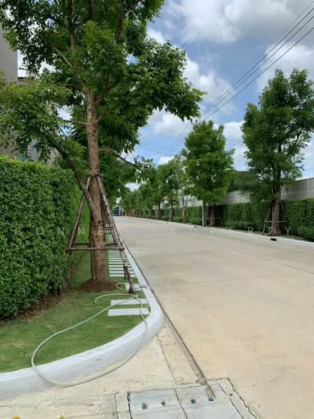 Baan Klang Muang Ratchaphruek, Nonthaburi, Road in Front of House, Mahasawat, Bang Kruai, Nonthaburi, 3 Bedrooms, 21 sqm, Single Detached House For Rent, by Connex Property, 500475385 - DDproperty.com