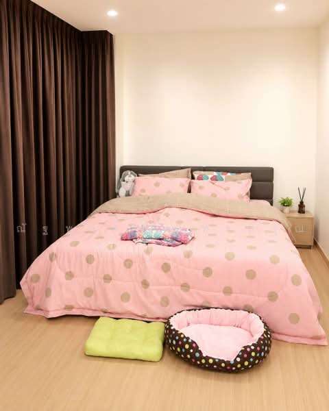 ไม่พบโครงการ, Bangkok, BTS สถานีสายไหม 3 กม., Sai Mai, Bangkok, 3 Bedrooms, 184 sqm, Townhouse For Rent, by ณัฐพงศ์ สุนทรอรุณ, 500475485 - DDproperty.com