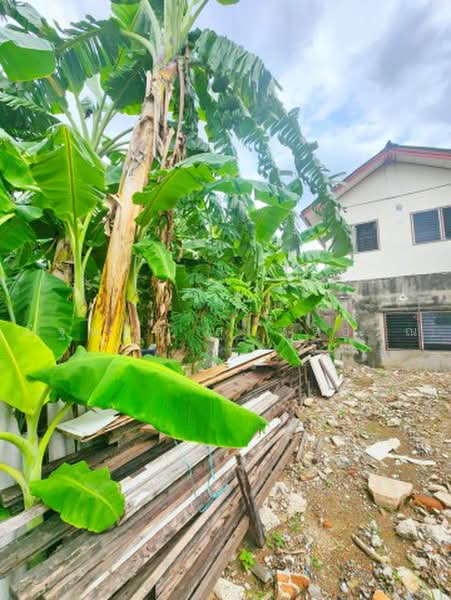 ไม่พบโครงการ, กรุงเทพ, พหลโยธิน 44-50, อนุสาวรีย์, บางเขน, กรุงเทพ, 100 ตร.ม., บ้านเดี่ยว ให้เช่า, โดย ณัฐพงศ์ สุนทรอรุณ, 500475502 - DDproperty.com
