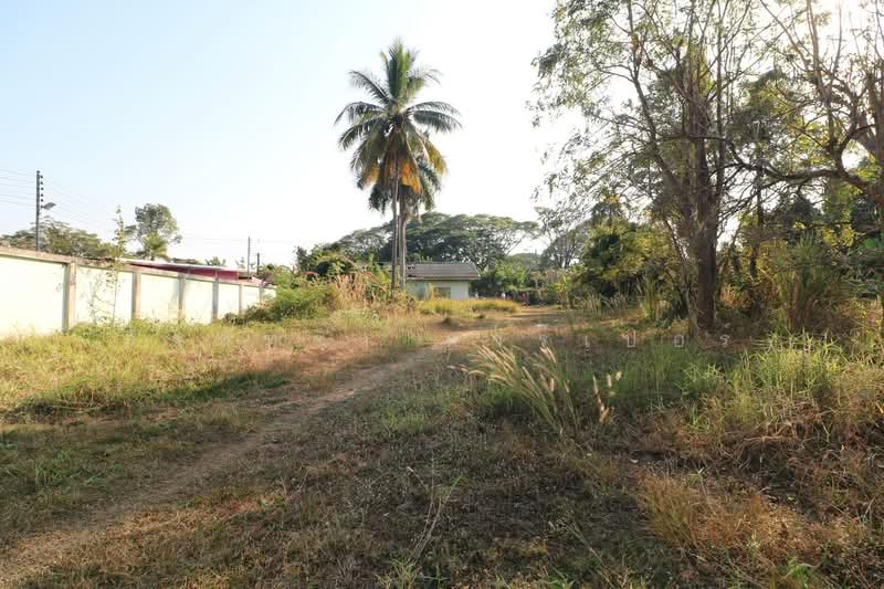 1 Rai Land for Sale in Kut Sa Udon Thani Thailand, Udon Thani, Kut Sra, Muang Udon Thani, Udon Thani, , 1,600 sqm, Land For Sale, by วีรภัทรา ดาร์เปอร์, 500475516 - DDproperty.com