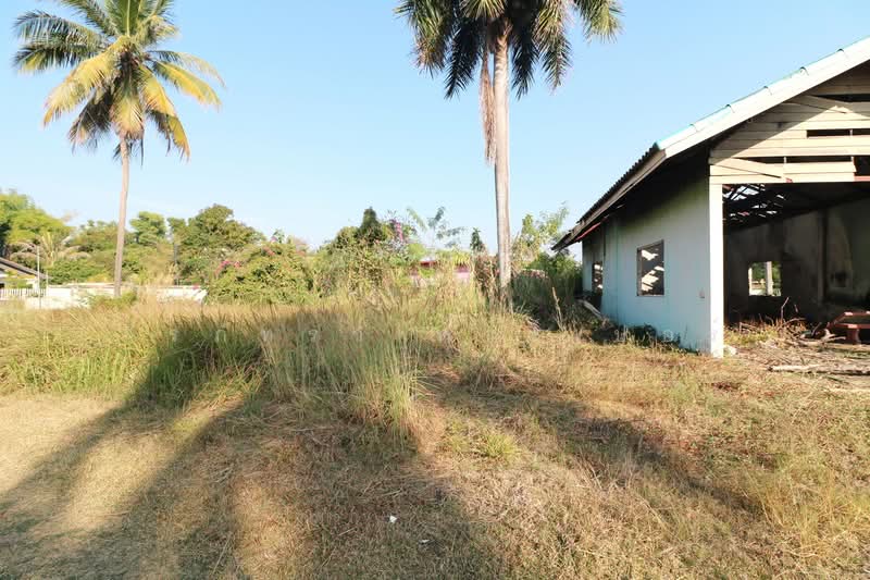 1 Rai Land for Sale in Kut Sa Udon Thani Thailand, Udon Thani, Kut Sra, Muang Udon Thani, Udon Thani, , 1,600 sqm, Land For Sale, by วีรภัทรา ดาร์เปอร์, 500475516 - DDproperty.com