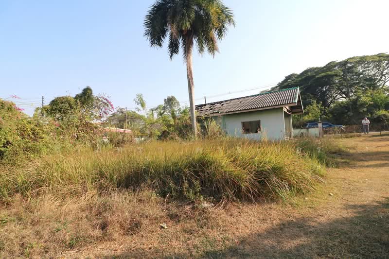 1 Rai Land for Sale in Kut Sa Udon Thani Thailand, Udon Thani, Kut Sra, Muang Udon Thani, Udon Thani, , 1,600 sqm, Land For Sale, by วีรภัทรา ดาร์เปอร์, 500475516 - DDproperty.com