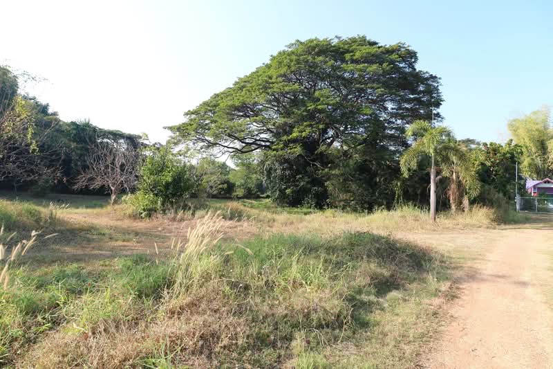 1 Rai Land for Sale in Kut Sa Udon Thani Thailand, Udon Thani, Kut Sra, Muang Udon Thani, Udon Thani, , 1,600 sqm, Land For Sale, by วีรภัทรา ดาร์เปอร์, 500475516 - DDproperty.com