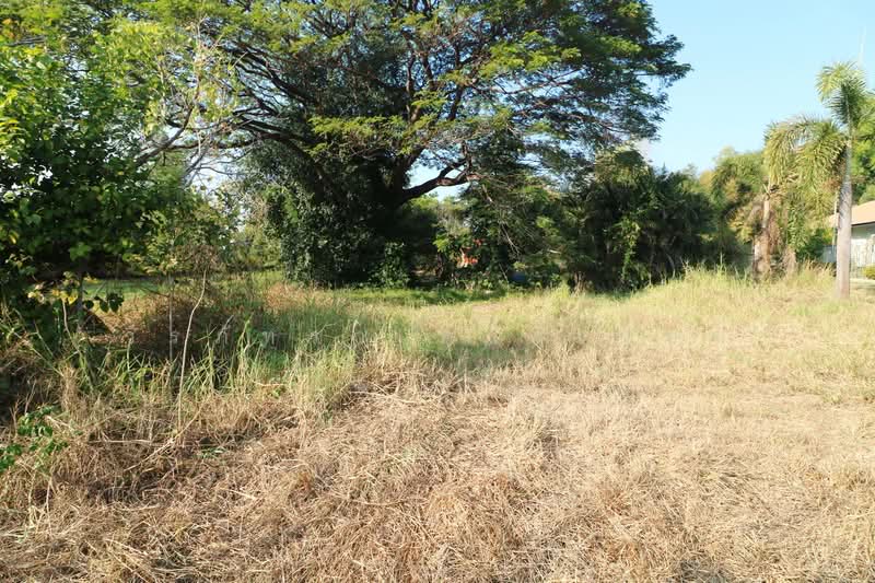 1 Rai Land for Sale in Kut Sa Udon Thani Thailand, Udon Thani, Kut Sra, Muang Udon Thani, Udon Thani, , 1,600 sqm, Land For Sale, by วีรภัทรา ดาร์เปอร์, 500475516 - DDproperty.com