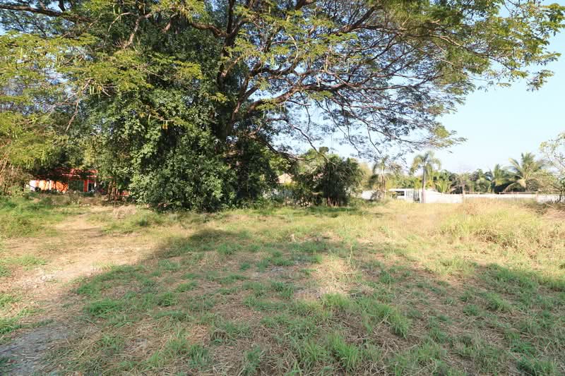 1 Rai Land for Sale in Kut Sa Udon Thani Thailand, Udon Thani, Kut Sra, Muang Udon Thani, Udon Thani, , 1,600 sqm, Land For Sale, by วีรภัทรา ดาร์เปอร์, 500475516 - DDproperty.com